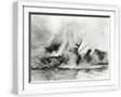 White Frame