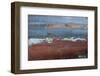 Ship Textures 3-Moises Levy-Framed Photographic Print