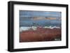 Ship Textures 3-Moises Levy-Framed Photographic Print