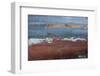 Ship Textures 3-Moises Levy-Framed Photographic Print