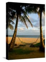 Ship Wreck Beach and Hammock, Kauai, Hawaii, USA-Terry Eggers-Stretched Canvas