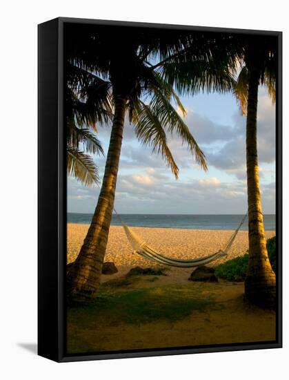 Ship Wreck Beach and Hammock, Kauai, Hawaii, USA-Terry Eggers-Framed Stretched Canvas