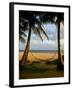 Ship Wreck Beach and Hammock, Kauai, Hawaii, USA-Terry Eggers-Framed Premium Photographic Print