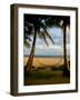 Ship Wreck Beach and Hammock, Kauai, Hawaii, USA-Terry Eggers-Framed Photographic Print