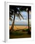 Ship Wreck Beach and Hammock, Kauai, Hawaii, USA-Terry Eggers-Framed Photographic Print