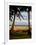 Ship Wreck Beach and Hammock, Kauai, Hawaii, USA-Terry Eggers-Framed Photographic Print