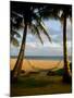 Ship Wreck Beach and Hammock, Kauai, Hawaii, USA-Terry Eggers-Mounted Photographic Print