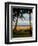 Ship Wreck Beach and Hammock, Kauai, Hawaii, USA-Terry Eggers-Framed Premium Photographic Print