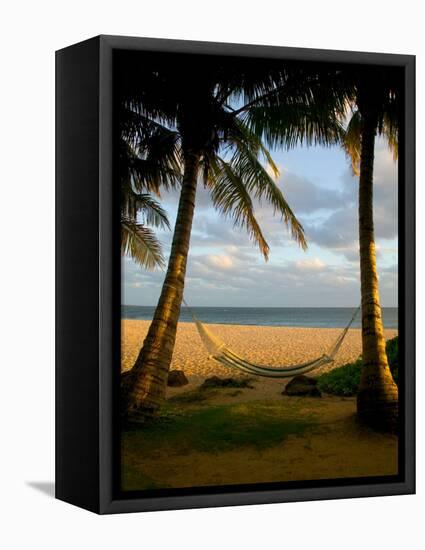 Ship Wreck Beach and Hammock, Kauai, Hawaii, USA-Terry Eggers-Framed Stretched Canvas