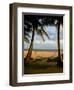 Ship Wreck Beach and Hammock, Kauai, Hawaii, USA-Terry Eggers-Framed Photographic Print