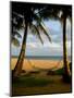 Ship Wreck Beach and Hammock, Kauai, Hawaii, USA-Terry Eggers-Mounted Photographic Print