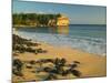 Ship Wreck Beach, Kauai, Hawaii, USA-Terry Eggers-Mounted Photographic Print