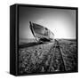 Ship Wreck II-Nina Papiorek-Framed Stretched Canvas