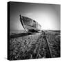Ship Wreck II-Nina Papiorek-Stretched Canvas