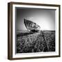Ship Wreck II-Nina Papiorek-Framed Photographic Print