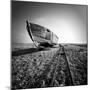 Ship Wreck II-Nina Papiorek-Mounted Photographic Print