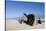 Ship Wreck, Skeleton Coast, Namibia, Africa-Thorsten Milse-Stretched Canvas