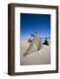 Ship Wreck, Skeleton Coast, Namibia, Africa-Thorsten Milse-Framed Photographic Print