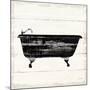 Shiplap Bath I-Sue Schlabach-Mounted Art Print