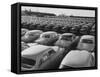 Shipment of Swedish Volvo Cars to USA-Stan Wayman-Framed Stretched Canvas