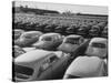 Shipment of Swedish Volvo Cars to USA-Stan Wayman-Stretched Canvas