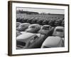 Shipment of Swedish Volvo Cars to USA-Stan Wayman-Framed Photographic Print