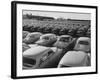 Shipment of Swedish Volvo Cars to USA-Stan Wayman-Framed Photographic Print