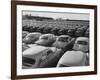 Shipment of Swedish Volvo Cars to USA-Stan Wayman-Framed Photographic Print