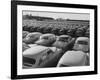 Shipment of Swedish Volvo Cars to USA-Stan Wayman-Framed Photographic Print