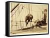 Shipping a Burmese Elephant-English Photographer-Framed Stretched Canvas