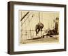 Shipping a Burmese Elephant-English Photographer-Framed Giclee Print