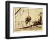 Shipping a Burmese Elephant-English Photographer-Framed Giclee Print