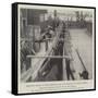 Shipping Mules at New Orleans for War Service in South Africa-null-Framed Stretched Canvas