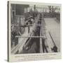Shipping Mules at New Orleans for War Service in South Africa-null-Stretched Canvas
