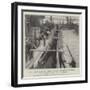 Shipping Mules at New Orleans for War Service in South Africa-null-Framed Giclee Print