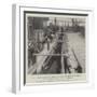 Shipping Mules at New Orleans for War Service in South Africa-null-Framed Giclee Print