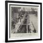 Shipping Mules at New Orleans for War Service in South Africa-null-Framed Giclee Print