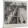 Shipping Mules at New Orleans for War Service in South Africa-null-Mounted Giclee Print