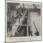 Shipping Mules at New Orleans for War Service in South Africa-null-Mounted Premium Giclee Print