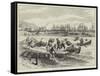 Shipping Nitrate at Pisagua, Chile-Melton Prior-Framed Stretched Canvas