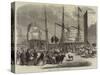 Shipping Wild Animals in the London Docks-null-Stretched Canvas