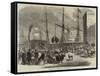 Shipping Wild Animals in the London Docks-null-Framed Stretched Canvas