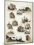 Ships from Portuguese Fleet from Memoria Das Armadas, 1528, Portugal, 16th Century-null-Mounted Giclee Print