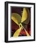 "Ships Propeller," February 26, 1944-Fred Ludekens-Framed Premium Giclee Print