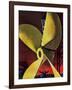 "Ships Propeller," February 26, 1944-Fred Ludekens-Framed Giclee Print