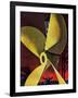 "Ships Propeller," February 26, 1944-Fred Ludekens-Framed Giclee Print