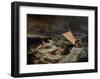 Shipwreck, 1800-J M W Turner-Framed Giclee Print