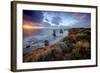 Shipwreck Coast-Wayne Bradbury-Framed Photographic Print