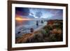 Shipwreck Coast-Wayne Bradbury-Framed Photographic Print