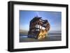 Shipwreck of the Peter Iredale, Fort Stevens State Park, Oregon, USA-Jamie & Judy Wild-Framed Photographic Print